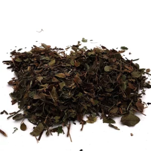 Heidelbeerblätter geschnitten